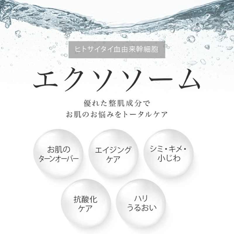 Make.iN EXOSOME + GLUTATHIONE 10Days フェイスマスク 10枚入×60個セット エクソソーム ヒト幹細胞 白玉 グルタチオン セラミド CICA EGF FGF パック マスク 保湿 スキンケア