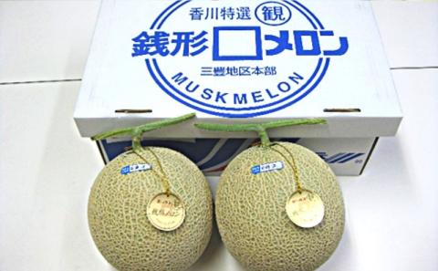 温室メロン（銭形メロン）2玉入り 果物 メロン青肉 フルーツ 温室育ち アールスメロン おやつ デザート 食後 国産 香川県産 観音寺市産