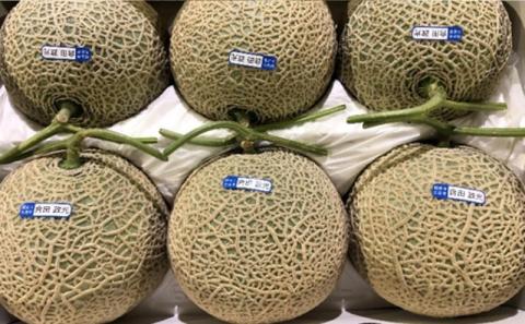 温室メロン（銭形メロン）5～6玉入り 果物 メロン青肉 フルーツ 温室育ち アールスメロン おやつ デザート 食後 国産 香川県産 観音寺市産