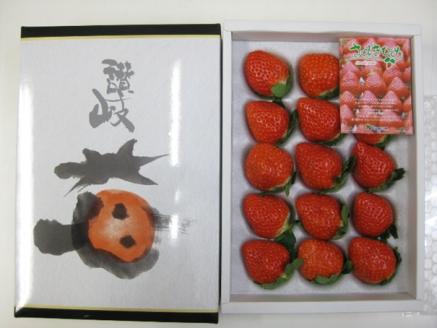 いちご「さぬきひめ」化粧箱入り約400g 果物類 苺 イチゴ フルーツ