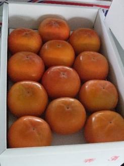 富有柿 約7.5kg 果物類 フルーツ 柿