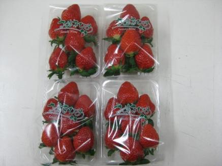 いちご「さぬきひめ」約1kg 果物類 いちご 苺 イチゴ フルーツ