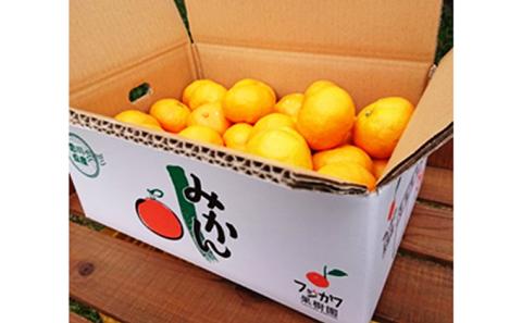 2025年秋よりお届け 高糖系石地みかん 約5kg 果物類／みかん 柑橘類 フルーツ ミカン 蜜柑