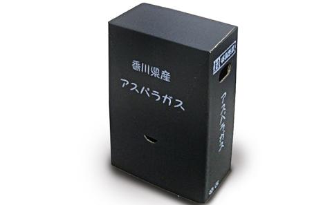香川県オリジナルアスパラガス「さぬきのめざめ」(夏芽)細物 約800g