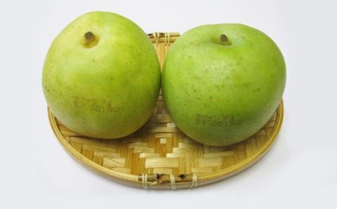 ホウナンの梨（二十世紀梨）約5kg