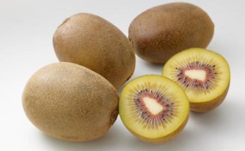 香川県オリジナルキウイ「さぬきエンジェルスイート」約2.4kg  果実 甘い 讃岐 くだもの ジューシー フルーツ 果物詰合せ