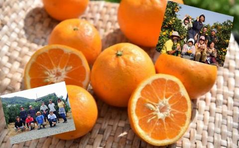 はれひめ 約3kg　2025年1月お届け！