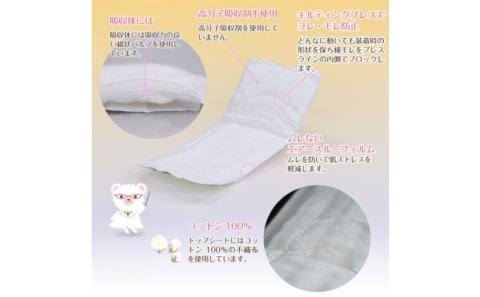 【年4回定期便】ナチュラムーン生理用品　普通の日用羽なし24個入×24個（1ケース）