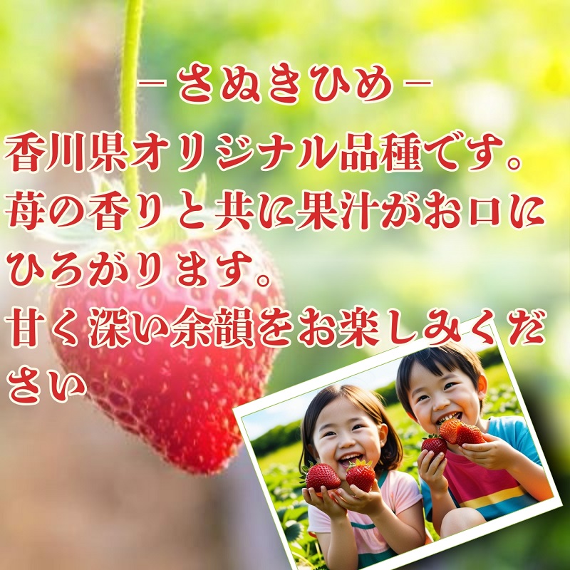 【2月より発送開始】いちご「さぬきひめ」約2kg　【配送不