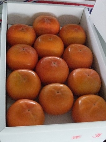 富有柿 約7.5kg 果物類 フルーツ 柿　 