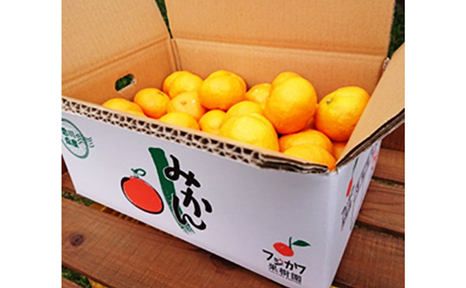 2026年冬よりお届け 高糖系石地みかん 約5kg 果物類／みかん 