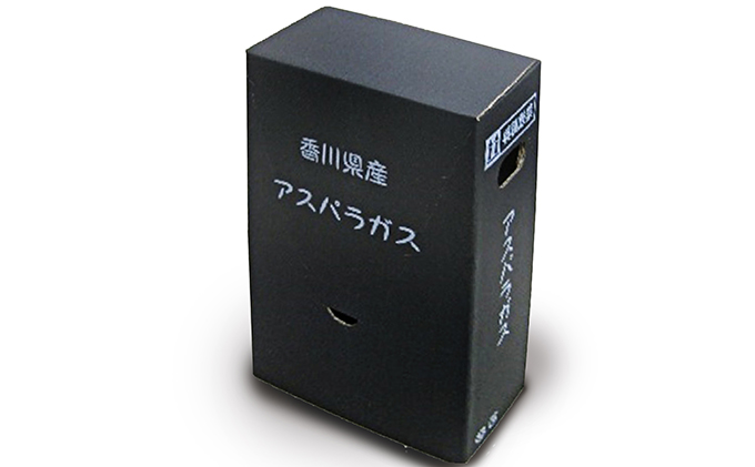 香川県オリジナルアスパラガス「さぬきのめざめ」(夏芽)細