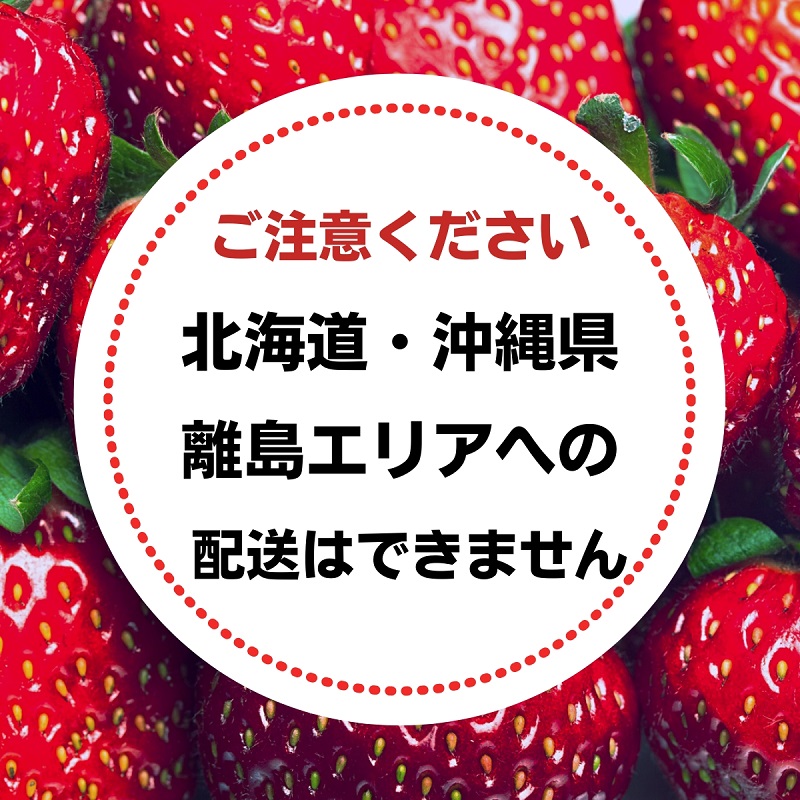 福田さんちのイチゴ(さぬきひめ) 2Lサイズ×2パック 500g以上