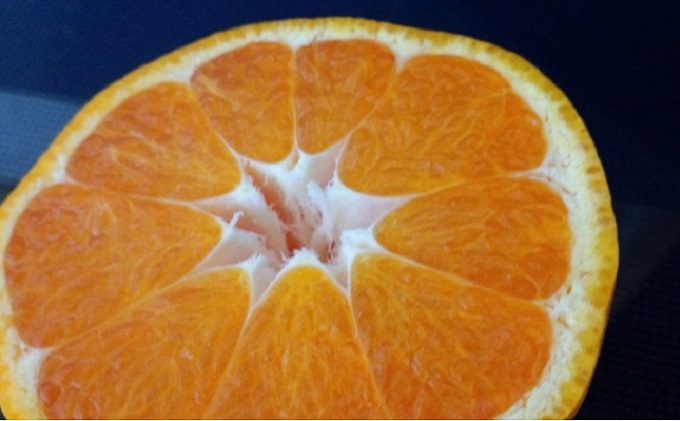 無添加　はれひめ100％ストレートジュース3本セット 果汁飲