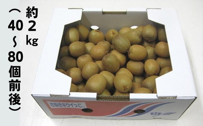 キウイっこ　約2kg 果物 フルーツ デザート 間食 おやつ 食