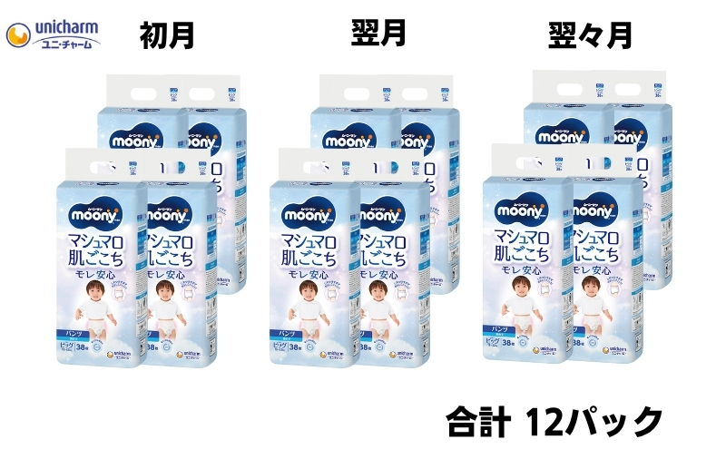 【3ヶ月連続定期便】ムーニーマン  男の子用 ビッグサイズ 