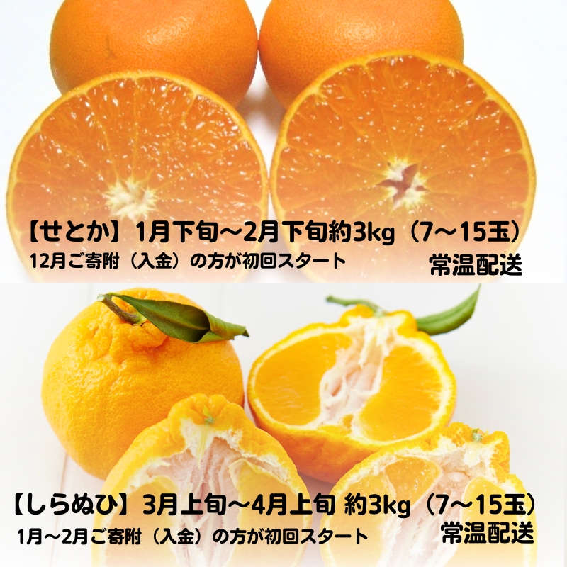 【2025年受付】 観音寺市からの特産フルーツ 定期便 年間6回