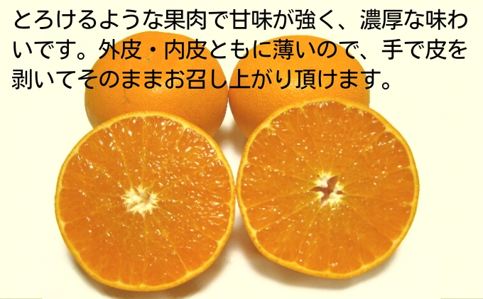 《訳あり》 せとか 約3kg 甘い みかん お取り寄せ  果物 くだ