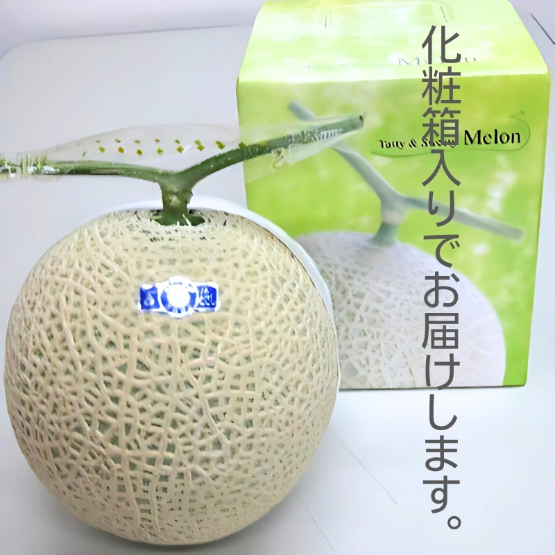 銭形メロン（アールス）1玉　約1.3kg 化粧箱入り フルーツ 