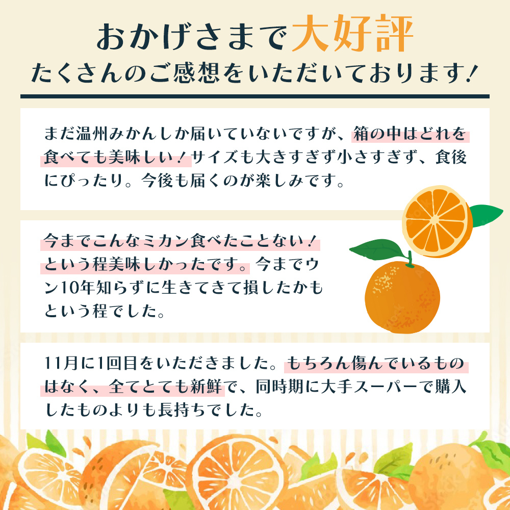 定期便 5回 みかん フジカワ果樹園オリジナル・新季節の柑橘セット