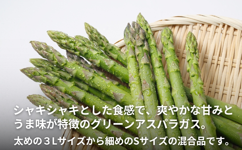 不揃い グリーン アスパラガス 約1kg 野菜 グリーンアスパラガス