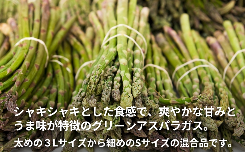 不揃い グリーン アスパラガス 約2kg 野菜 グリーンアスパラガス