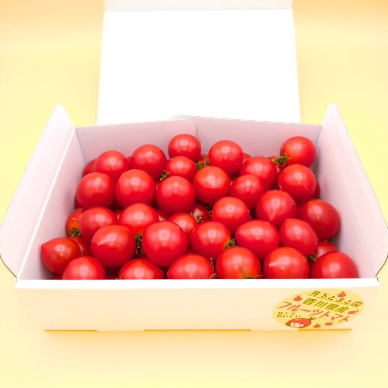 井下とまと園の完熟フルーツトマト 約1kg