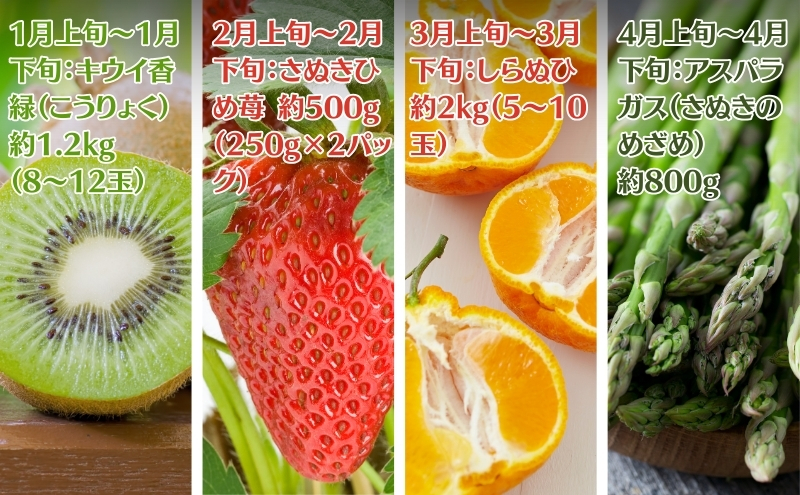 【2025年受付】ご家庭用 食べきり 旬菜旬果フルーツ定期便 全12回