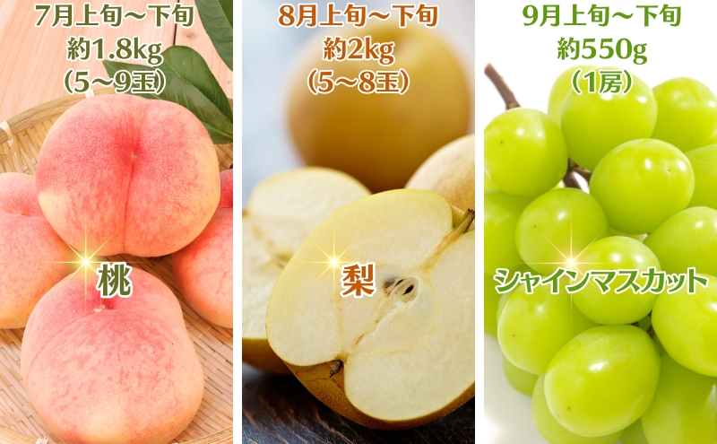 【2025年受付】ご家庭用 食べきり 旬果フルーツ定期便 全6回