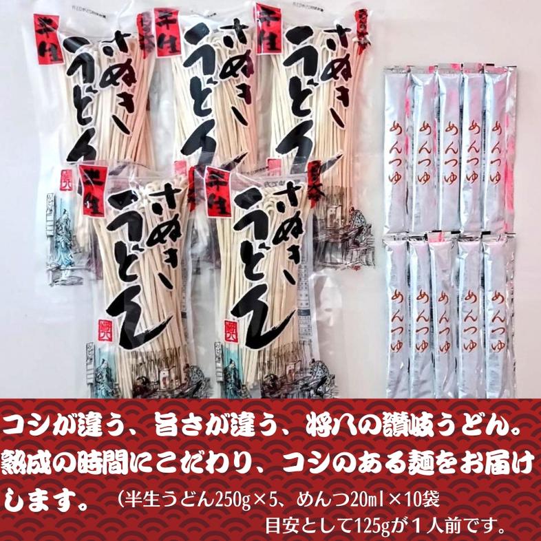 讃岐うどん（半生めん）つゆ付 10人前 　※配送不可：沖縄