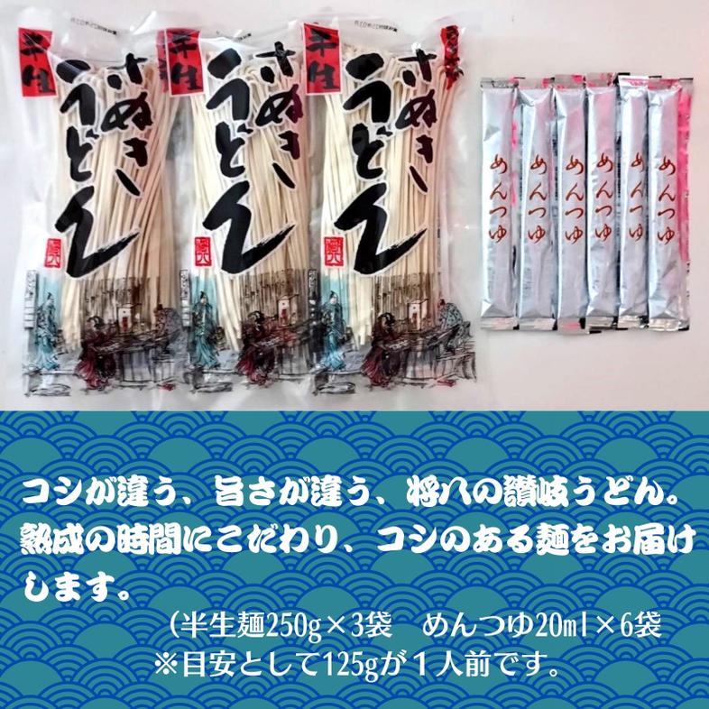 讃岐うどん（半生めん）つゆ付 6人前