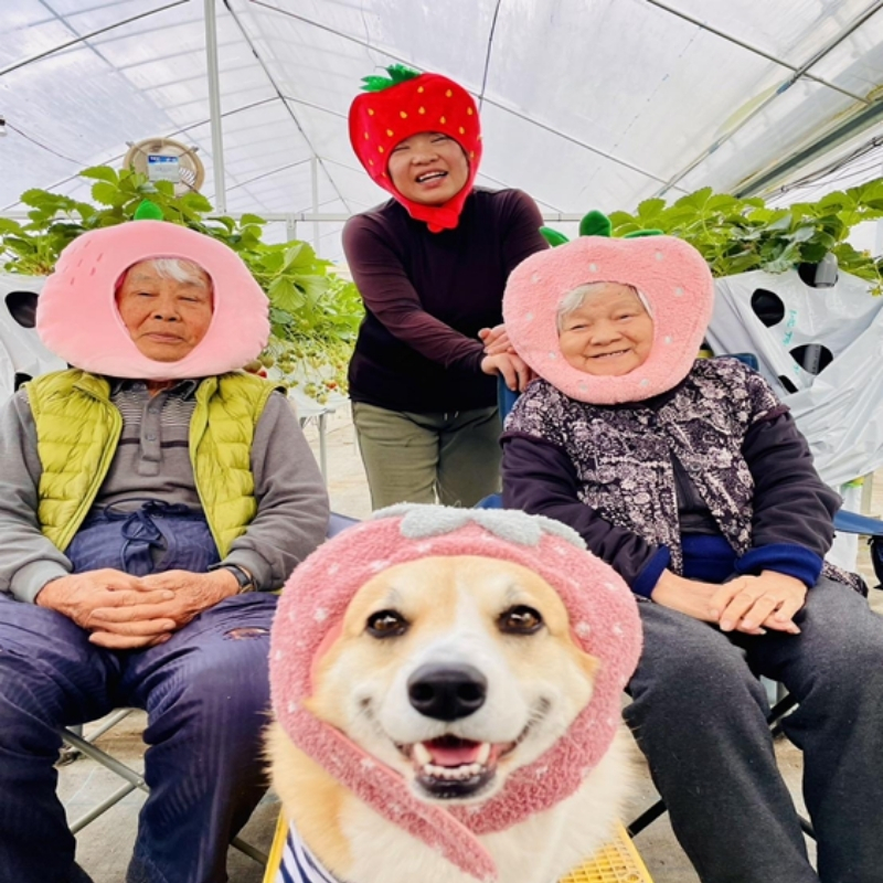 かわさきふるーつ園直送 桃 贈答用1箱　約2kg