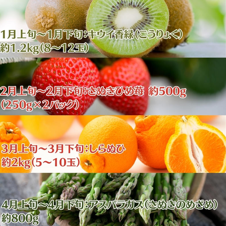 【2026年受付】ご家庭用 食べきり 旬菜旬果フルーツ定期便 