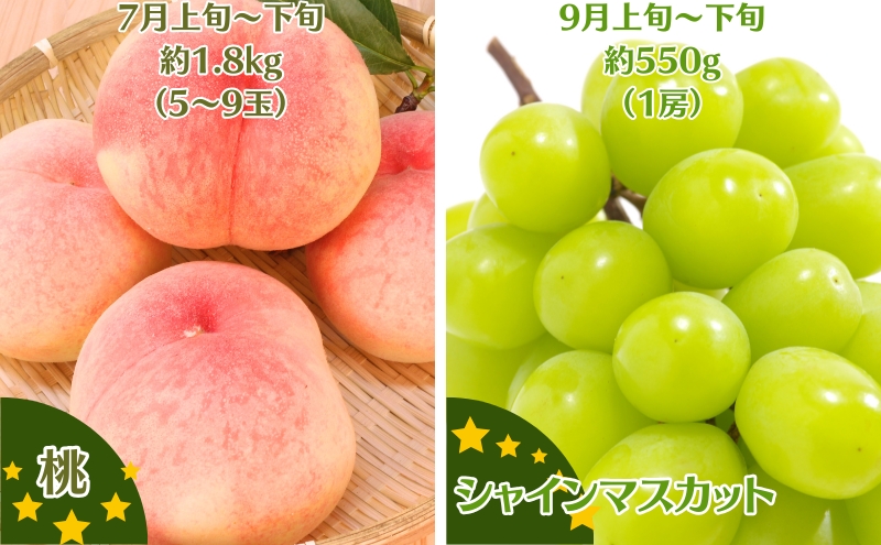 【2026年受付】ご家庭用 食べきり 旬果フルーツ定期便 全4回
