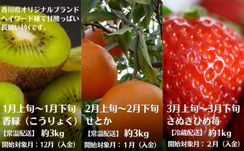 【2026年受付】 観音寺からのフルーツ定期便 年12回