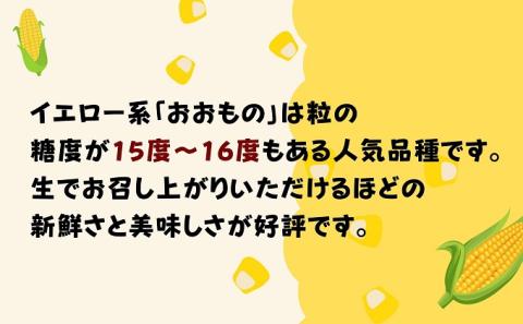 スイートコーン おおもの 5～6本