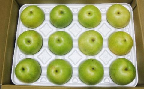 ホウナンの梨（二十世紀梨）約5kg