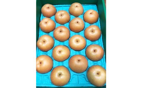 ホウナンの梨（豊水梨）約5kg