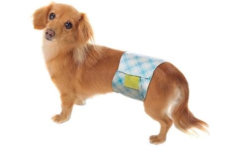 マナーおむつおしっこ用　小型　42枚×6袋　ペット用品 犬用 日本製