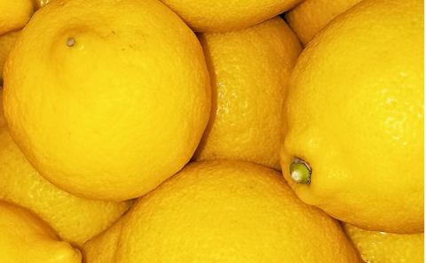 2025年お届け イエローレモン（露地栽培）約2.5kg 果物類 柑橘類 柑橘 檸檬