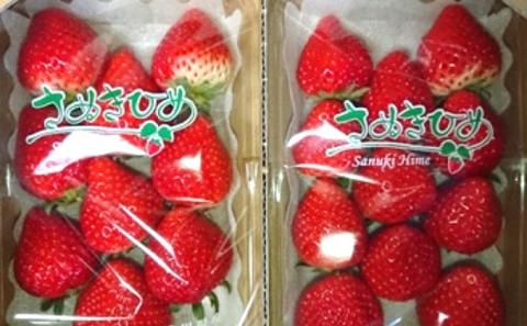 上品でかわいい “ いちご ”【 さぬきひめ　2.2kg】 観音寺市産 【配送不可地域：沖縄・北海道・離島】