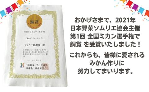 2025年秋よりお届け 農園直送 田口早生みかん　約3kg 果物類 柑橘類 ミカン フルーツ