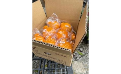 低温貯蔵 ハウス 不知火　約3kg