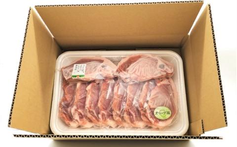 オリーブ豚ロース10枚セット100g×10枚 約1kg トンカツ用