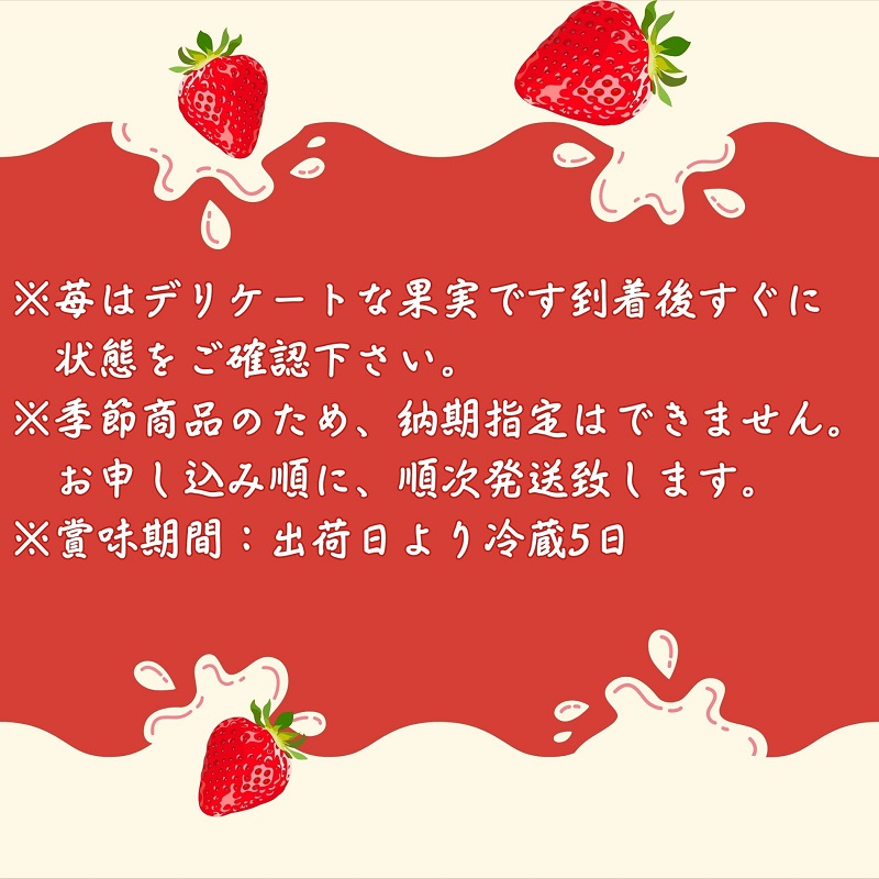 【2月より発送開始】いちご「さぬきひめ」約2kg　【配送不