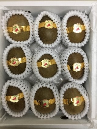 香川県オリジナルキウイ「さぬきエンジェルスイート」約1.