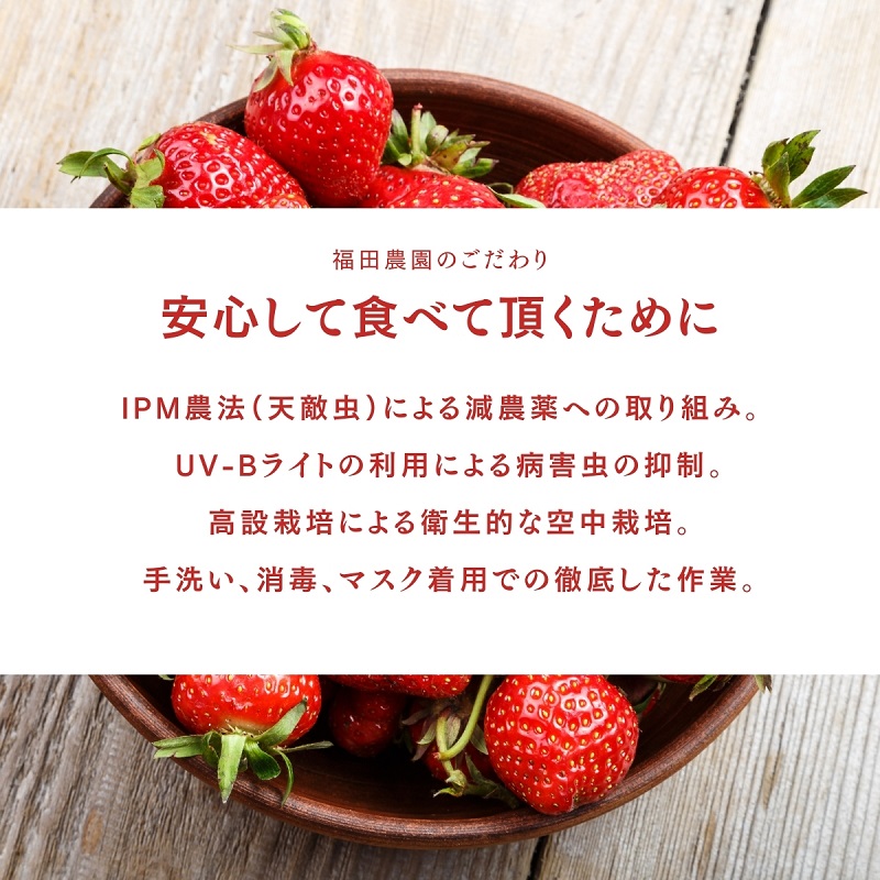 福田さんちのイチゴ(さぬきひめ) 2Lサイズ×2パック 500g以上