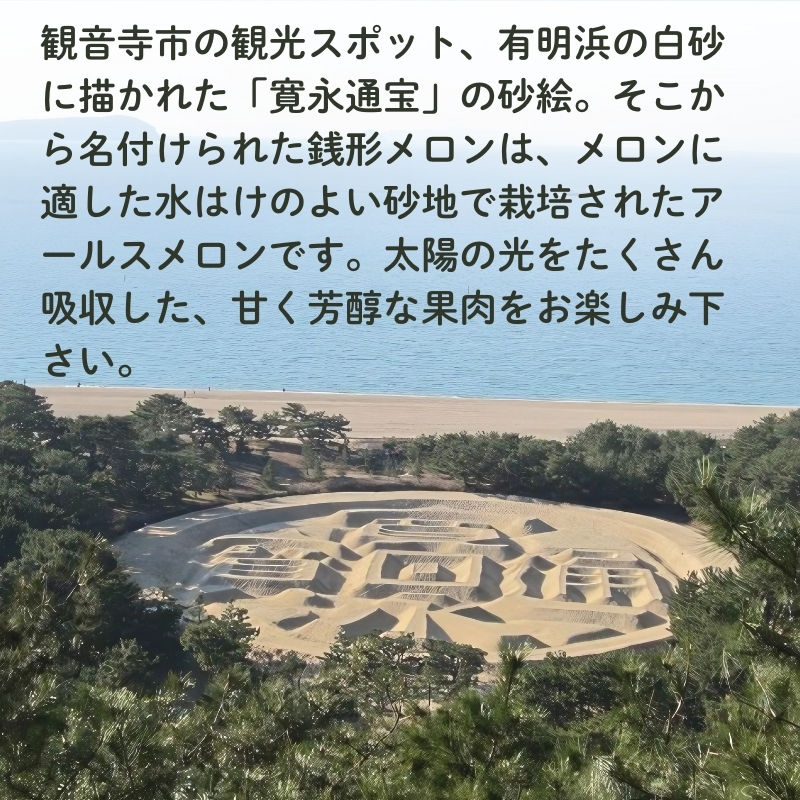 銭形メロン 2玉 化粧箱入り 約2.5kg　［アールスメロン］ 果