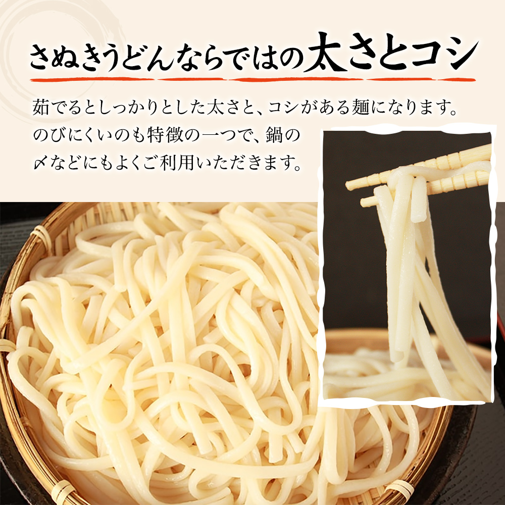 紀州屋 讃岐 うどん 大容量 120人前（3人前×40袋） 乾麺 本場