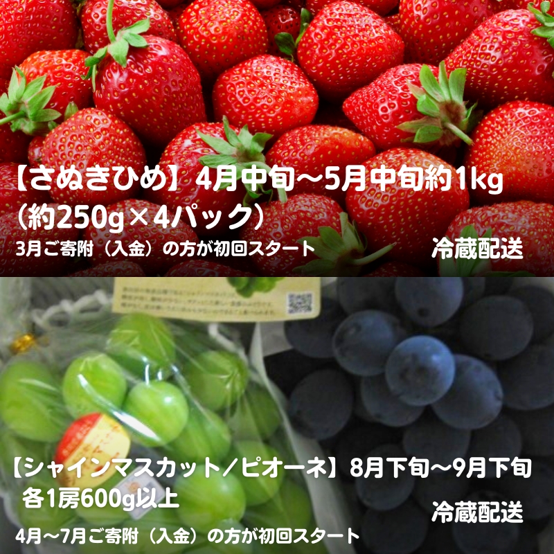 【2025年受付】 観音寺市からの特産フルーツ 定期便 年間6回